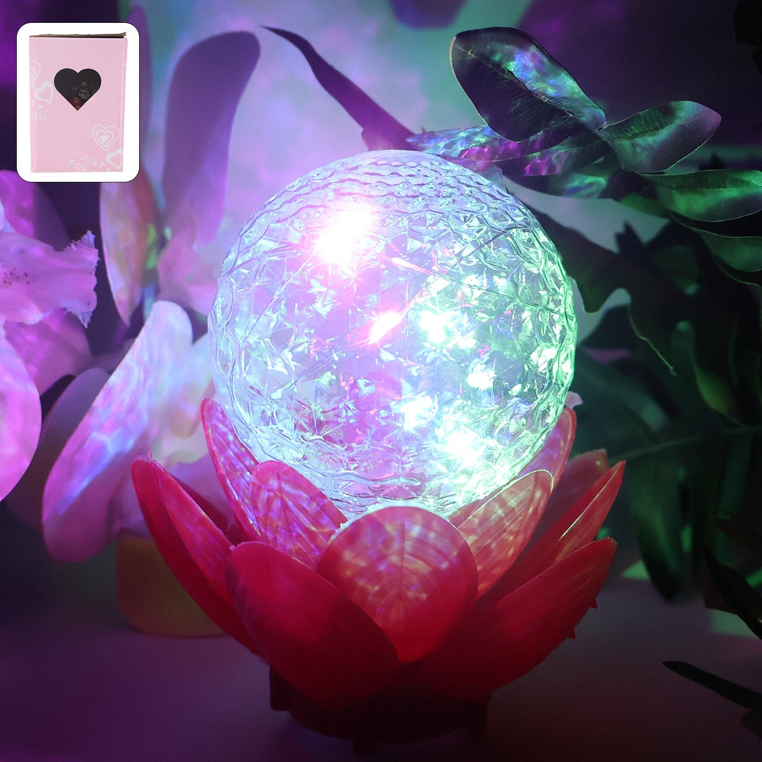 Designer 3D LED Acrylic Night Lamp - Style 5